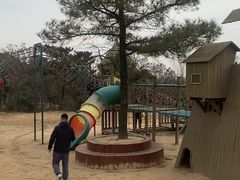 -东海森林温泉度假酒店