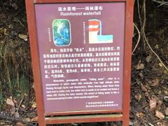 -南丹山森林王国