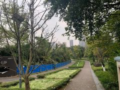-重庆彩云湖湿地公园