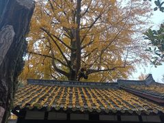 -海马体照相馆(成都来福士广场店)