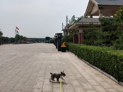 -藁城北服务区-停车场