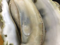 -蚝专家(北滘店)