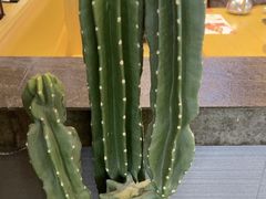 -韩味园果木炭烤鲜肉(陵东街店)