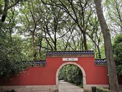 -灵谷景区