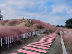 -嘉北郊野公园