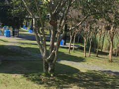 -梁鸿国家湿地公园