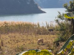 -孔雀湖生态旅游区