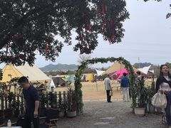-长洲岛都市农业公园