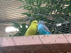 -南宫五洲植物乐园