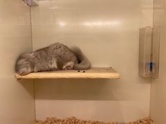 -龙猫仔乐园(惠福东路店)