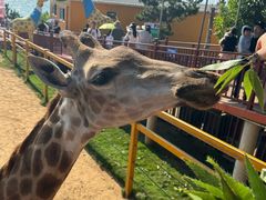 -西霞口神雕山野生动物世界