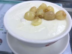 莲子双皮奶-义顺牛奶公司