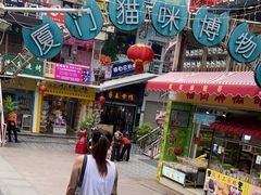 -猫咪博物馆(顶澳仔猫街店)