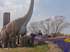 -南通洲际绿博园