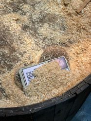 -Zoolung Zoolung动物主题公园(海信广场店)