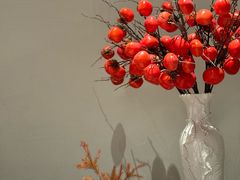 -柿合缘新京菜(国金中心商场店)