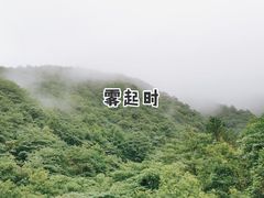 -东天目山风景区