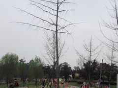 -两河城市森林公园