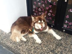 -星巴克(红房子店)