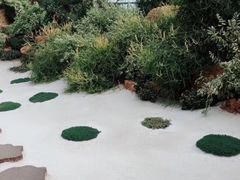 -南通洲际绿博园