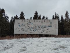 -武陵山森林公园