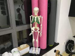 -Green Pilates格琳普拉提工作室