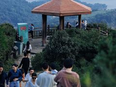 -大姆山草场