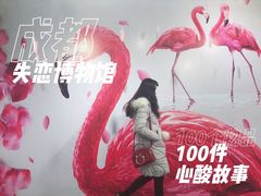 -成都失恋馆