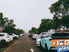 -春花秋色城市公园