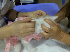 -瑞派名望24h动物医院异宠专科·猫专科·骨科·重症监护分院