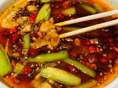 -杨氏青龙虾·羊蝎子(金盛路总店)