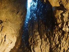 -怀托摩萤火虫洞