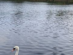 -海德公园