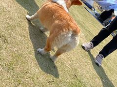 -钟山体育运动公园