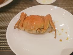 -美食汇·海鲜自助餐·家庭聚会·商务宴请(青秀万达文华店)