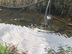 -木兰云雾山