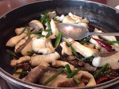 -国家五钻酒家·西樵旺阁渔村(西樵店)