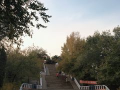 -乌素图国家森林公园