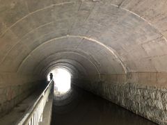 -白水寺森林公园