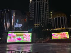 -上海大酒店(南京东路店)