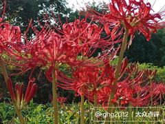 -白塘生态植物园