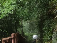 -藏龙百瀑风景区