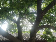 -张学良旧居陈列馆