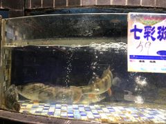 -森谷美食公园(杨行店)