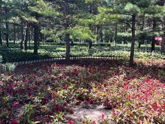 -黑龙江省森林植物园