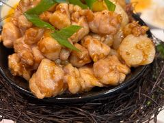 -丁老爷子苏香圆