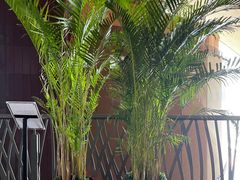 -国家大剧院西餐厅