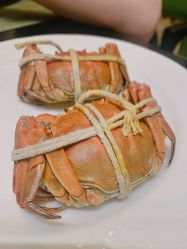 -静安洲际酒店·宴会厅