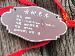 -中岳庙