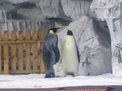-海合安武汉极地海洋公园